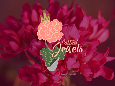 Branding Design for Garden Centre brand design branding branding concept design graphic design icon illustration logo logo design typography vector