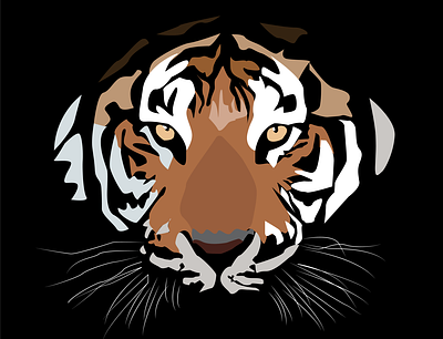 Ferocious felines adobe illustrator graphic design tiger drawing tiger face tiger illustration