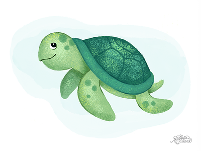 Turtle animals digital painting drawing illustration sea animals sea turtle turtle