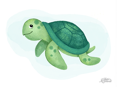 Turtle