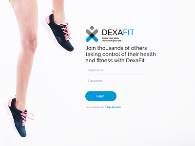 Dexafit CRM app branding design flat minimal photoshop typography ui ux design web website