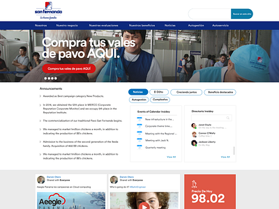 San Fernando Web UI UX