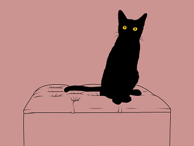 Me Da Igual animal cat dora black illustration illustrator kinder malo pimp flaco pink vector vector illustration videoclip