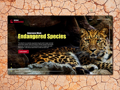Endangered Species site home page adobexd animal animals graphic design graphicdesign graphics hero section ui ui ux webdesign website website design
