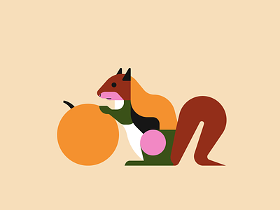 Squirrel animal illustration animals geometric illustration illustrator nature illustration squirrel vector