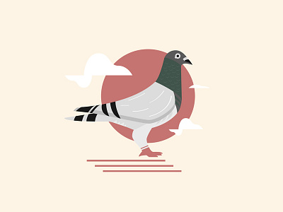 Pigeon branding design graphic illustration pigeon print vector