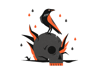 Corvus animal bird crow illustration illustrator nature skull texture