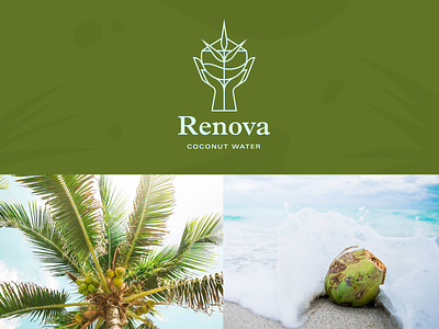 Renova branding coconut icon identity illustration illustrator logo logo design symbol visual identity