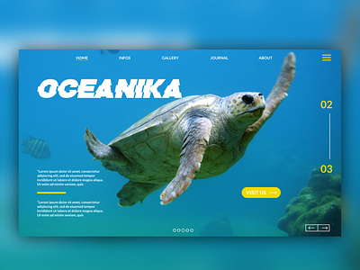 Oceanika LP ui ux web web interface