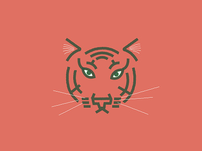 tiger illustration tiger