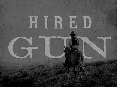 Hired Gun cowboy gun hired slinger west wild