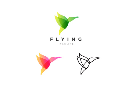 Flying Hummingbird Logo branding illustration logo logo design vector