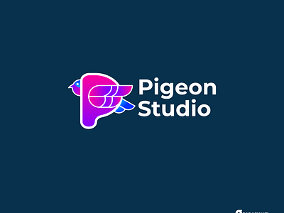 PIGEON STUDIO