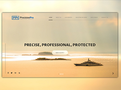 PrecisionPro