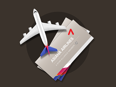 Airline Redesign 2 airline airplane asiana concept interface ticket