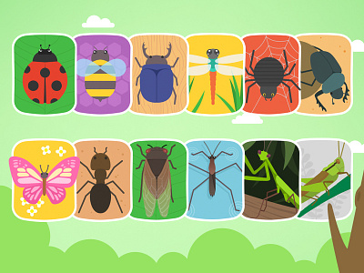 Card Insects bug card edu education insect kid kid app kid game kyowon pad taptap memory