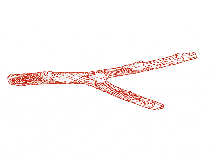 Rotating Twig animated gif animation drawing gif pattern tree twig