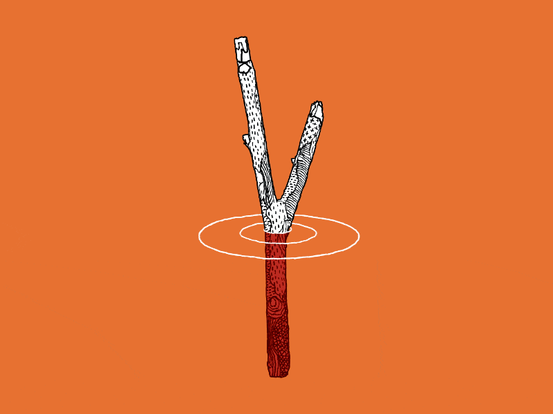 Trapped in Amber Animation animated gif tree pattern drawing twig gif animation water ripple