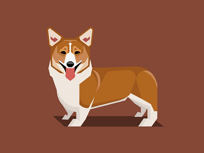 Welsh Corgi