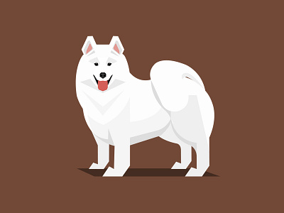 Samoyed