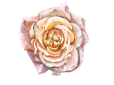 Pink Tea Rose, Digital Art art artflower artrose artsticker beautiful coolsticker design digitalart digitalartrose digitalflower flower flowersticker illustration pink romantic rose roseart rosedrawing roseillustration rosesticker