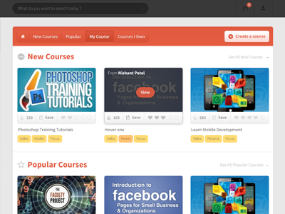 Courses and Lessons clean course layout lesson red tutorial udemy