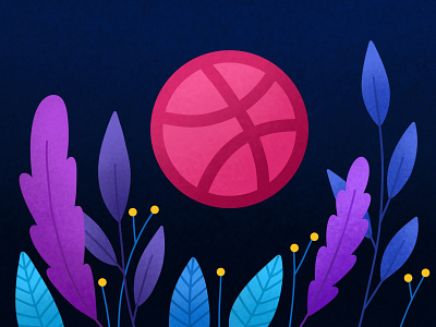 Hello Dribbble