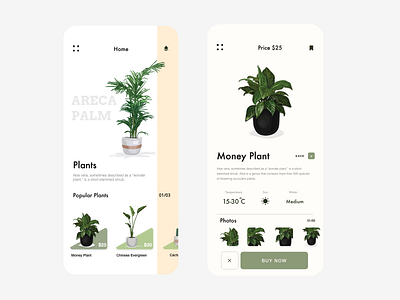 Plant App app app design dashboad design ecommerce illustration plant plants ui ui design uidesign user interface uxdesign