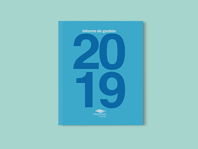 Informe de Gestión Fundación Promigas annual report design infographic report typography