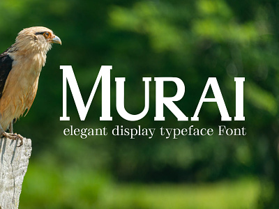 Murai elegant display typeface Font Free font fonts freefont typography