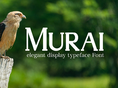 Murai elegant display typeface Font Free