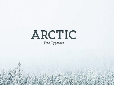 Arctic Modern slab serif Font Free font fonts freefont typography