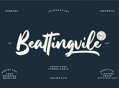 Beattingvile Beautiful script font Free font fonts freefont typography