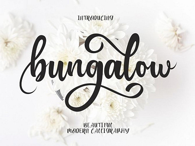 Bungalow : Free Script Font design font fonts free download free font free fonts freebies freefont type typeface typography