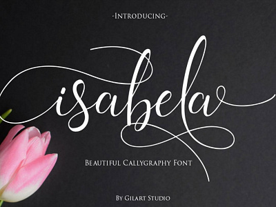 Isabela Free Calligraphy Font font fonts free download free font free fonts freebies freefont type typeface typography