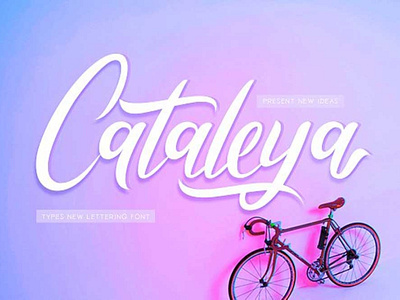 Cataleya - Free Calligraphy Font font fonts free download free font free fonts freebies freefont typography