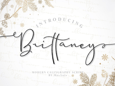 Brittaney Free Script Font font fonts free download free font free fonts freebies freefont type typeface typography