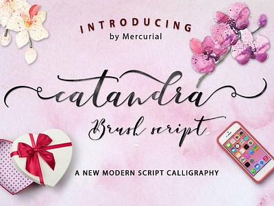 Catandra - Free Brush Script Font