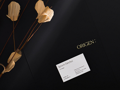 Origen branding design graphic design real state