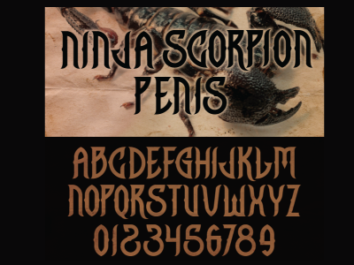 Ninja Scorpion Font calligraphy custom type font for sale typography