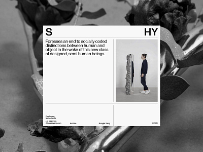 S HY Concepts branding design minimal typography ui