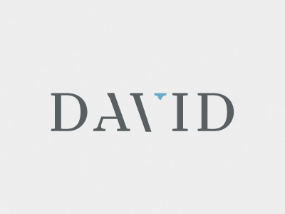 David branding grey logo design