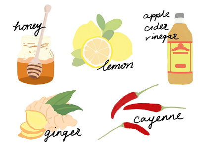 Morning Water Elixir apple cider vinegar cayenne pepper elixir food fruit ginger gouache health honey illustration lemon water