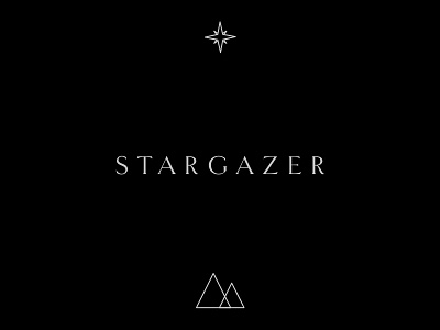 Stargazer Logo brand identity logo sketchapp stars type vector