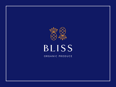 Bliss Logo brand identity illustration logo pineapple sketchapp typography vector