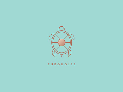 Turquoise Logo brand identity illustration logo ocean sea turtle typography