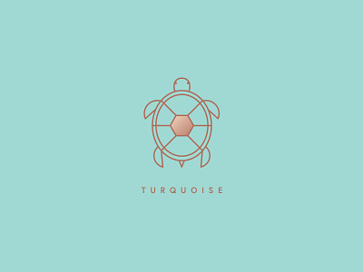 Turquoise Logo