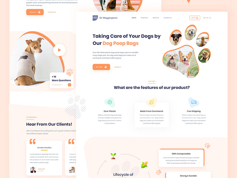 Online Pet Store Landing Page by Ali Ezzati on Dribbble