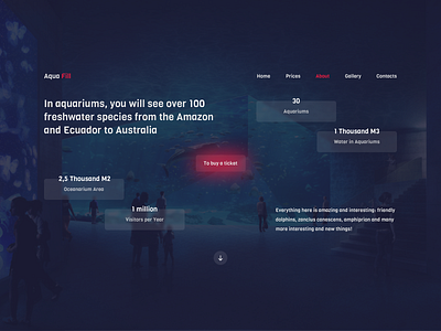 Aqua Fill design ui ux web webdesign website