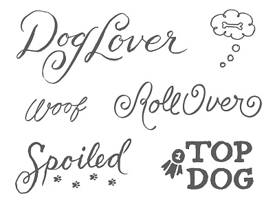 Dog Letterings bone bubble dog dogs hand lettering lettering paws script